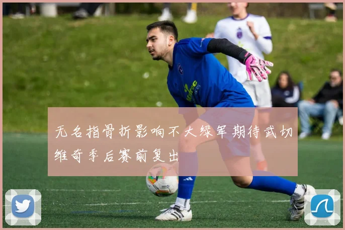无名指骨折影响不大绿军期待武切维奇季后赛前复出